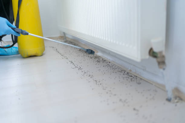 Best Best Pest Control Companies  in Paul, ID